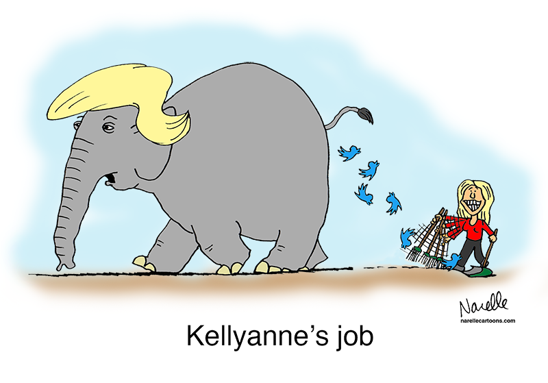 Kellyanne's job - Brian Narelle