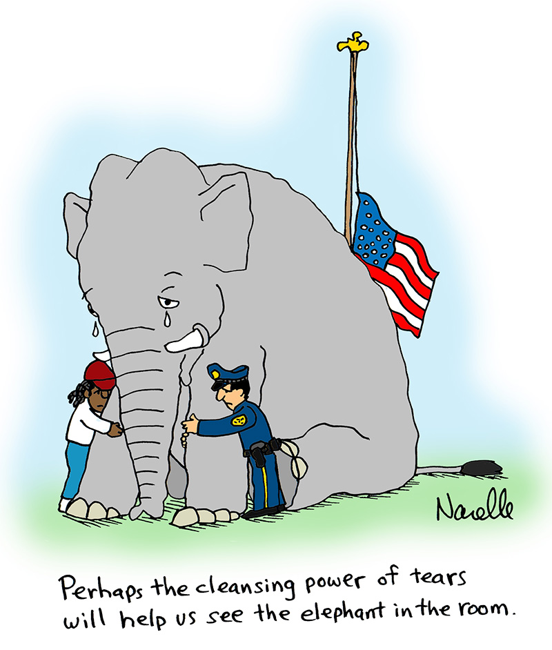 Perhaps the cleansing power of tears will help us see the elephant in the room. - Brian Narelle